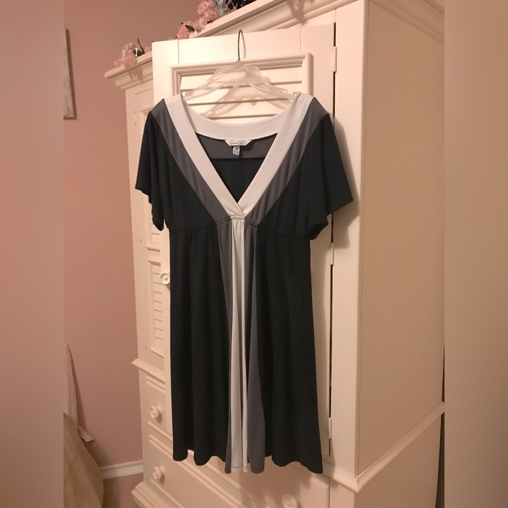 V-neck, empire waist tunic or dress. Flowy skirt. Gray, cream and black stripe.